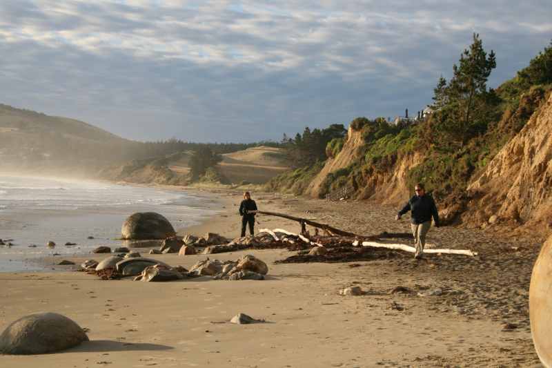 Nieuw-Zeeland 2011 - 2081